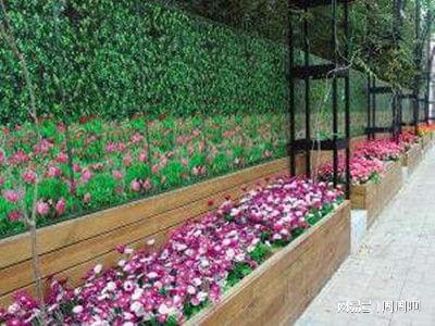 花卉園藝師證報考指南 報名流程、考試內容及費用全解析